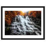 Into the woods thumbnail