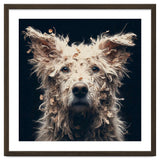 Old Dog 06 thumbnail