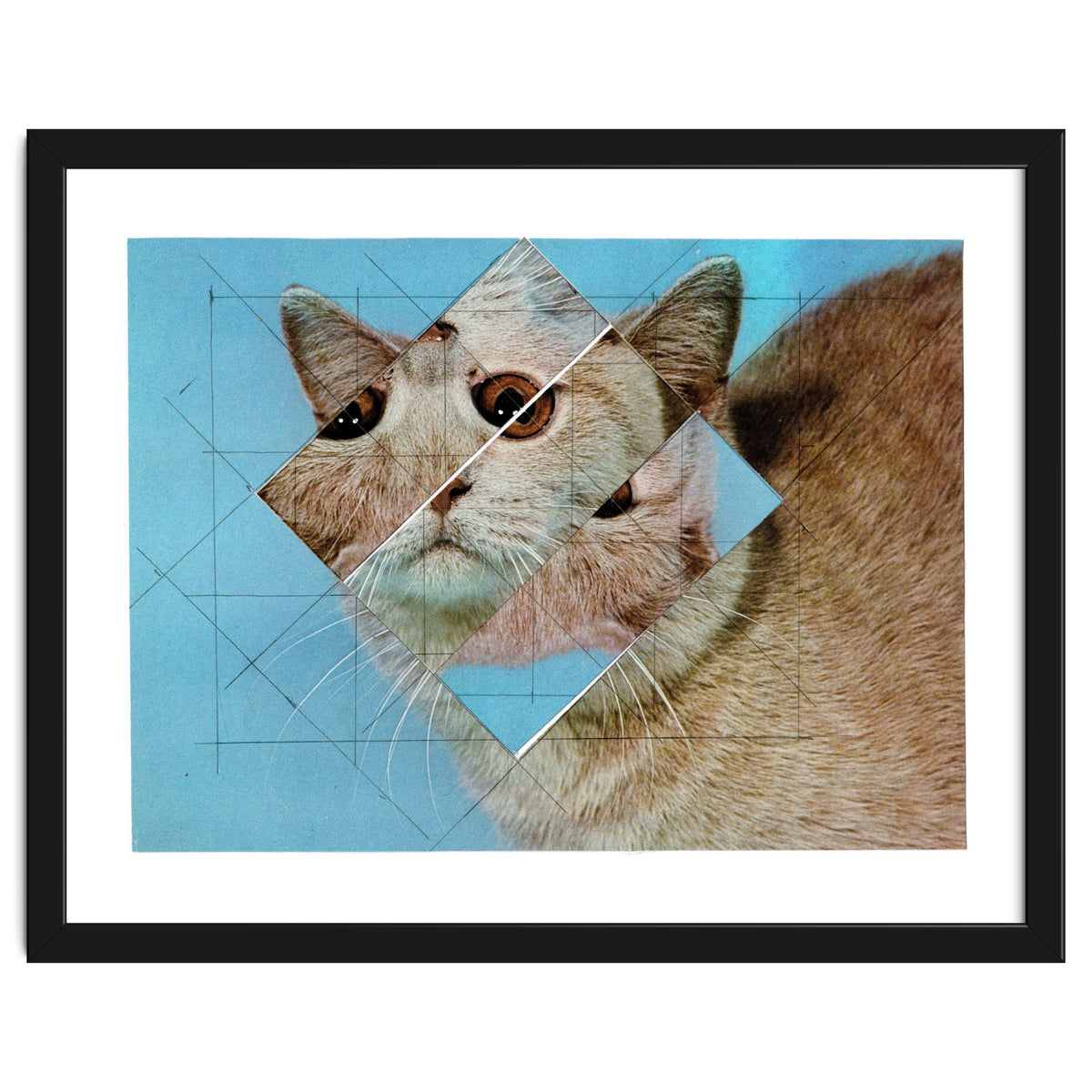 The Depressive Cat Am Abend Bekommt Den Blues