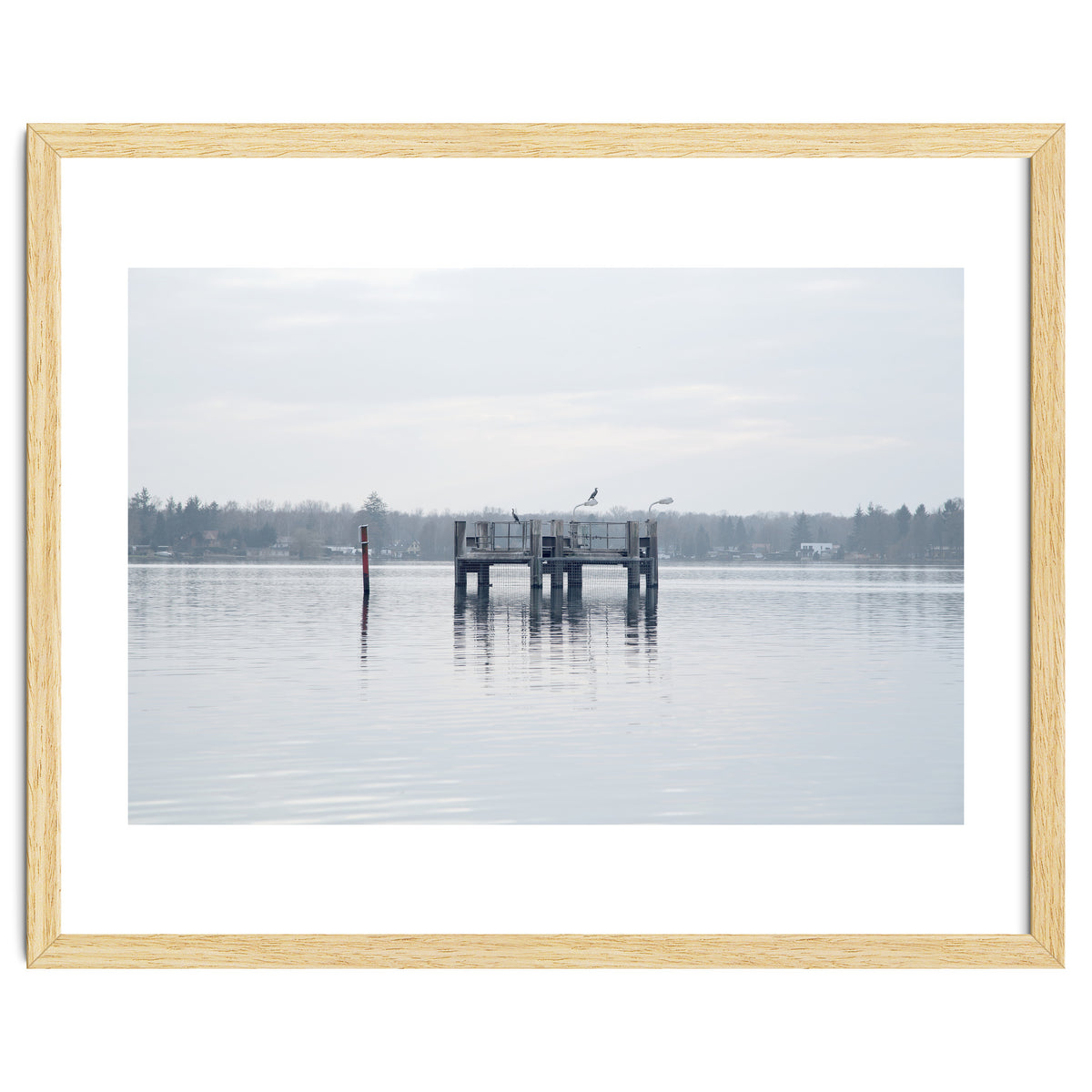 Birds rest in the Lake