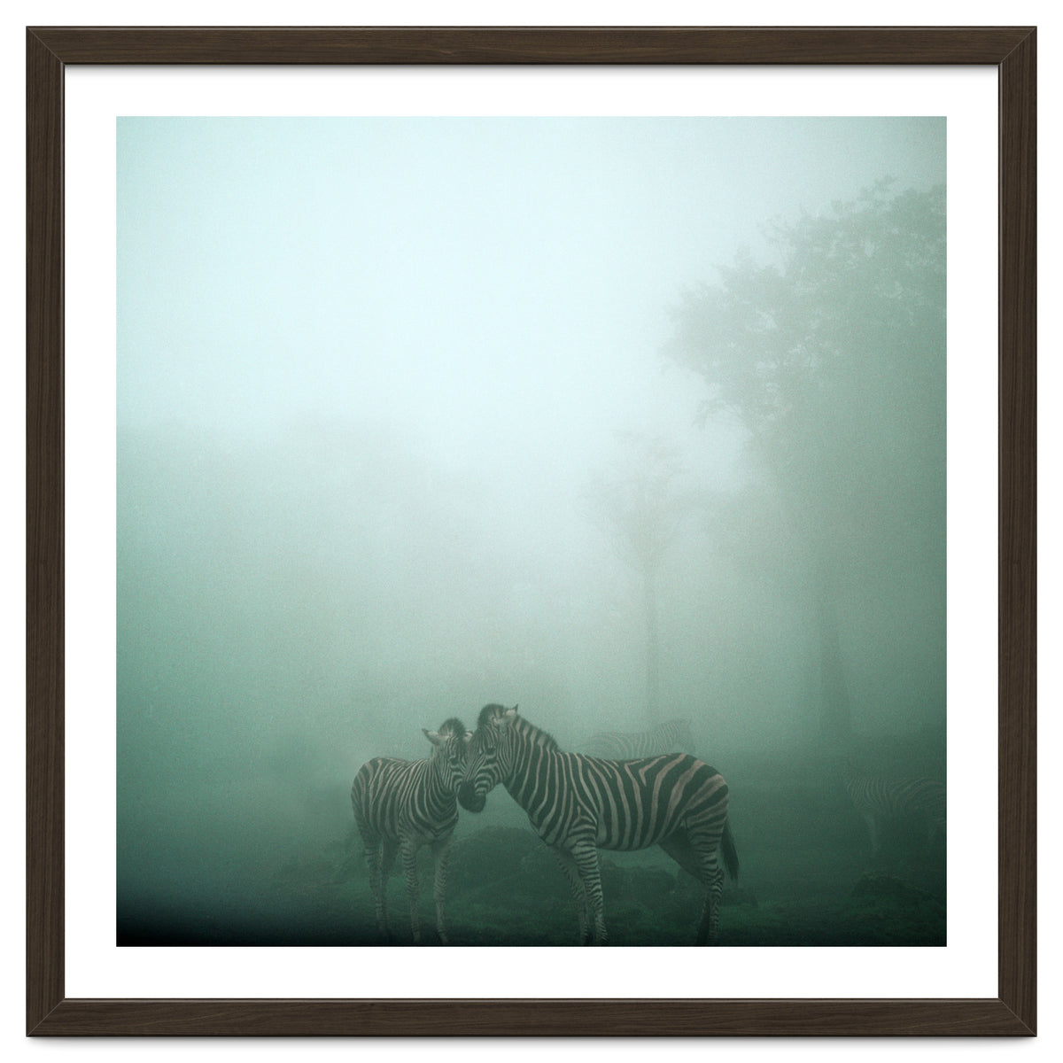 Silence of breath - 11