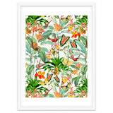 Birds And Butterflies In Tropical Jungle thumbnail