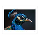 Close Up Peacock Head Blue Green Feather  (Print Only) thumbnail