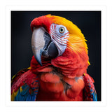 Scarlet Macaw Parrot Head Detailed Portrait Black (Print Only) thumbnail
