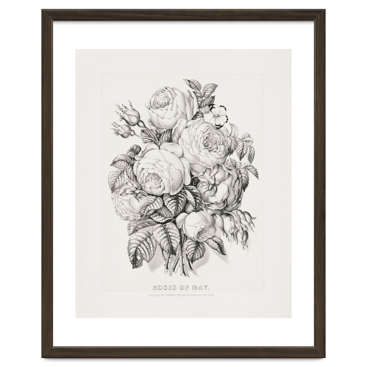 Currier & Ives – Rose of May (1870)