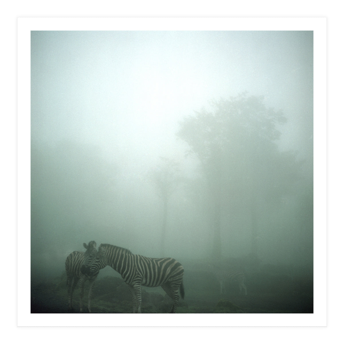 Silence of breath - 15 (Print Only)