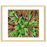 Meadow at spring thumbnail