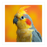 Close Up Cockatiel Parrot With Yellow Crest (Print Only) thumbnail