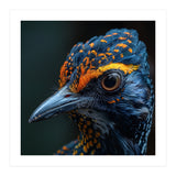 Close Up Of A Colorful Bird Head And Eye (Print Only) thumbnail