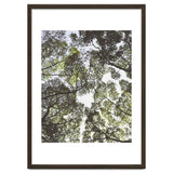 Mother Nature thumbnail