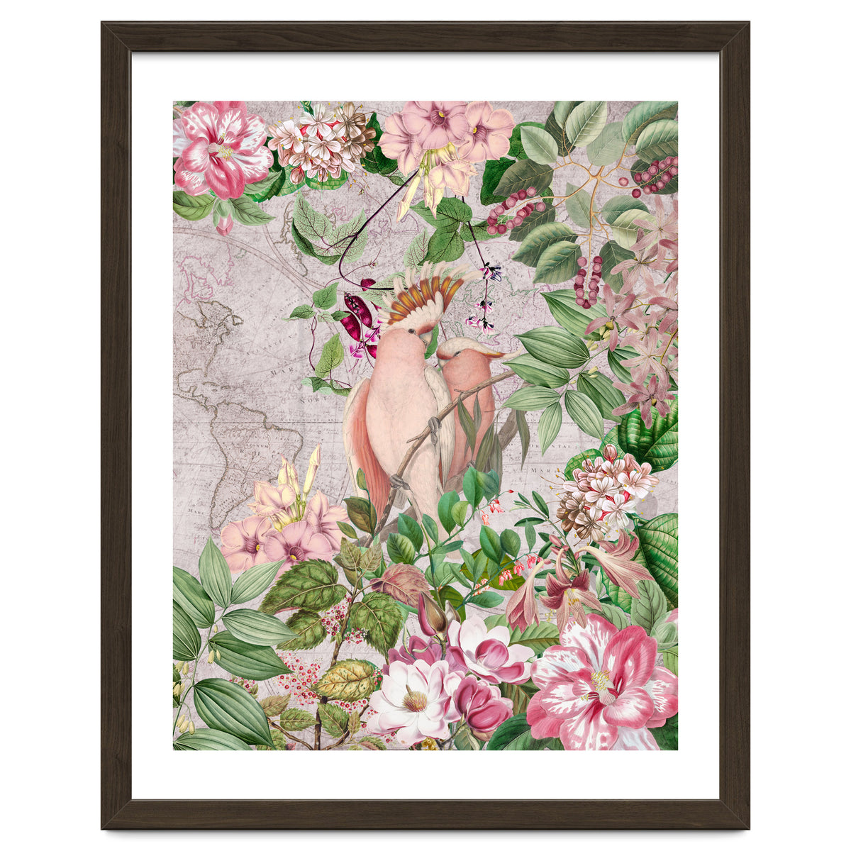 Parrot Exotic Jungle