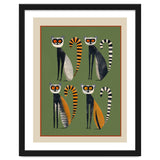 Striped Lemurs thumbnail