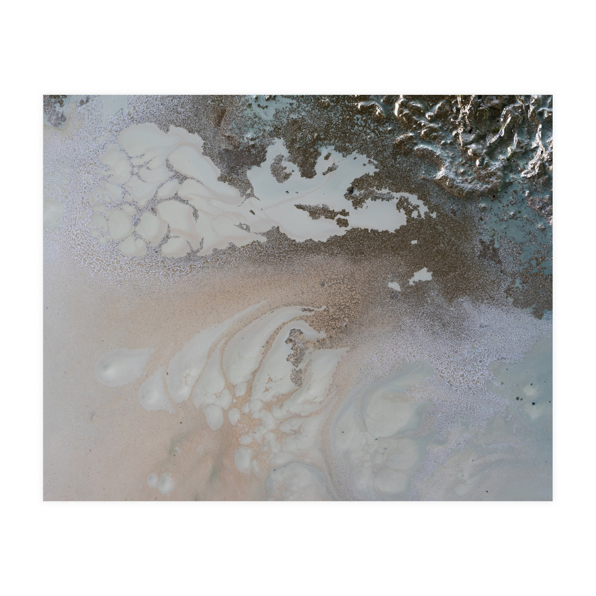 Life Unfolding (Print Only)