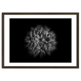 Backyard Flowers In Black And White No 48 Flow Version thumbnail