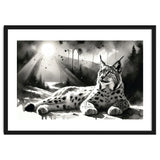 Lynx Resting In Sunlight thumbnail