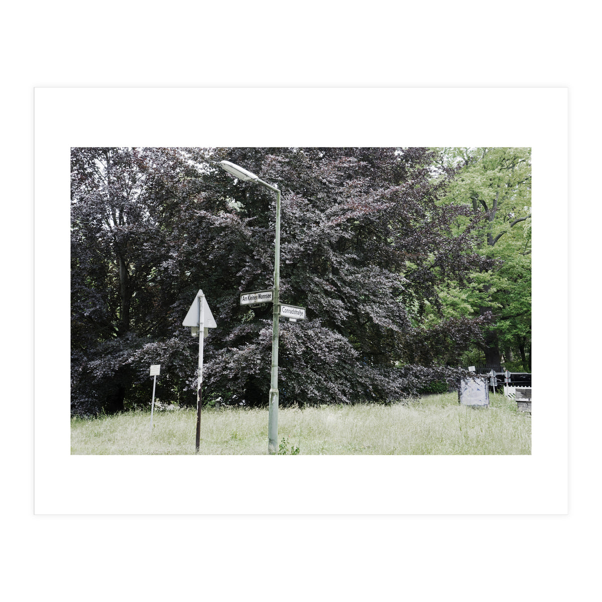 Signs at the corner of the street (Print Only)