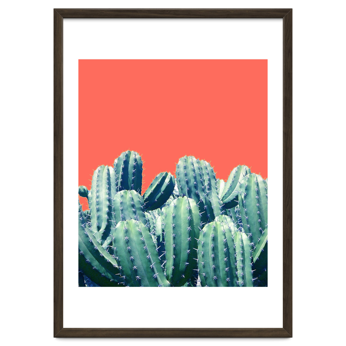 Cactus On Coral