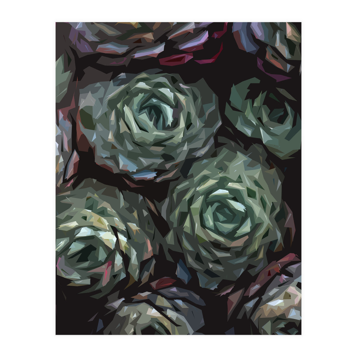 Succulent Plant Ii (Print Only)