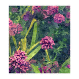 Aliyah (Print Only) thumbnail
