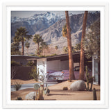 Palm Springs Pink II thumbnail