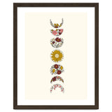 Floral Phases Of The Moon thumbnail