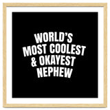 World's most coolest and okayest nephew thumbnail