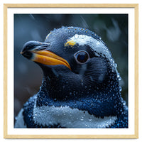 Macro view of a Penguin with Water Droplets