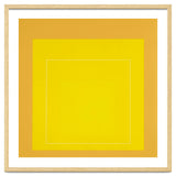JOSEF ALBERS - HOMAGE TO THE SQUARE YELLOW thumbnail