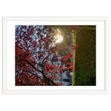 Autumn’s Embrace thumbnail