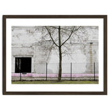 A tree in front of the wall thumbnail