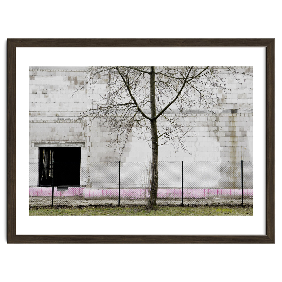 A tree in front of the wall