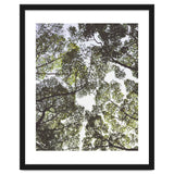 Mother Nature thumbnail