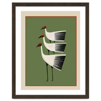 Striped Bird Trio I