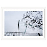 Net caught in a tree thumbnail