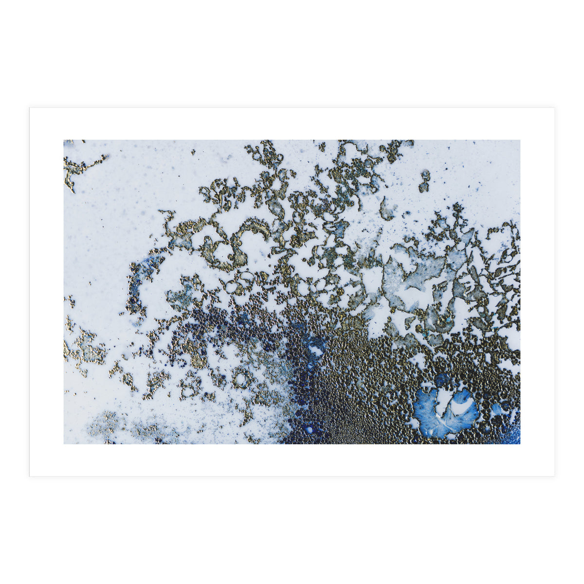 Coral Rising (Print Only)