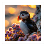 Puffin Bird Amidst Purple Flowers Golden Hour (Print Only) thumbnail