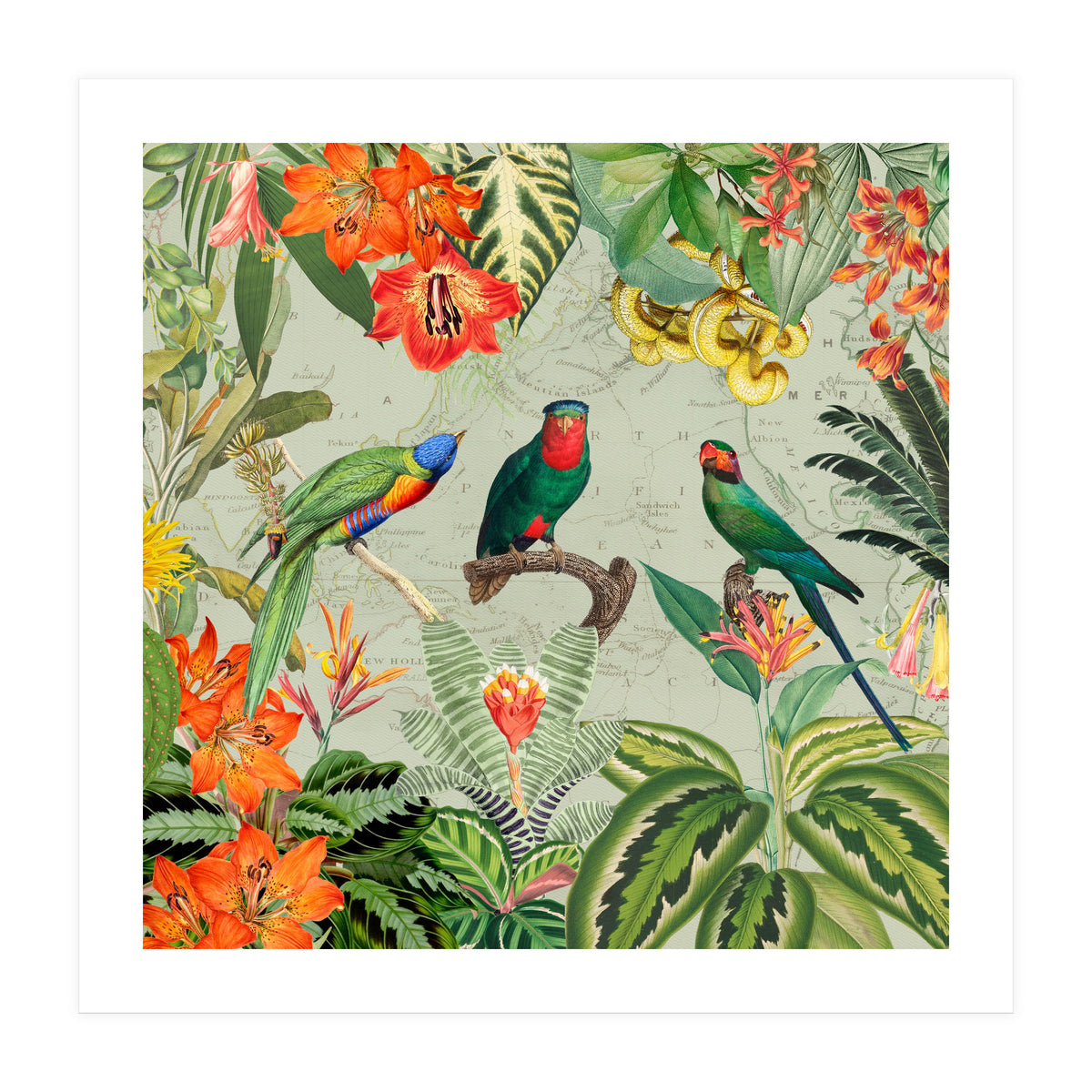 Exotic Parrots Jungle Landscape (Print Only)