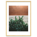 Plant + Copper thumbnail