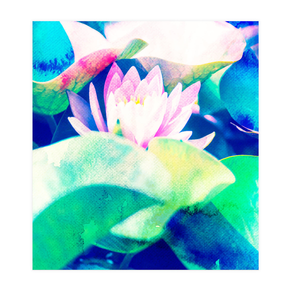 Watercolor Lotus (Print Only)