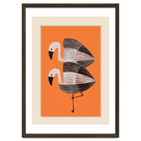 Tangerine Flamingos