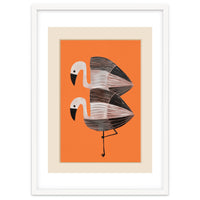 Tangerine Flamingos