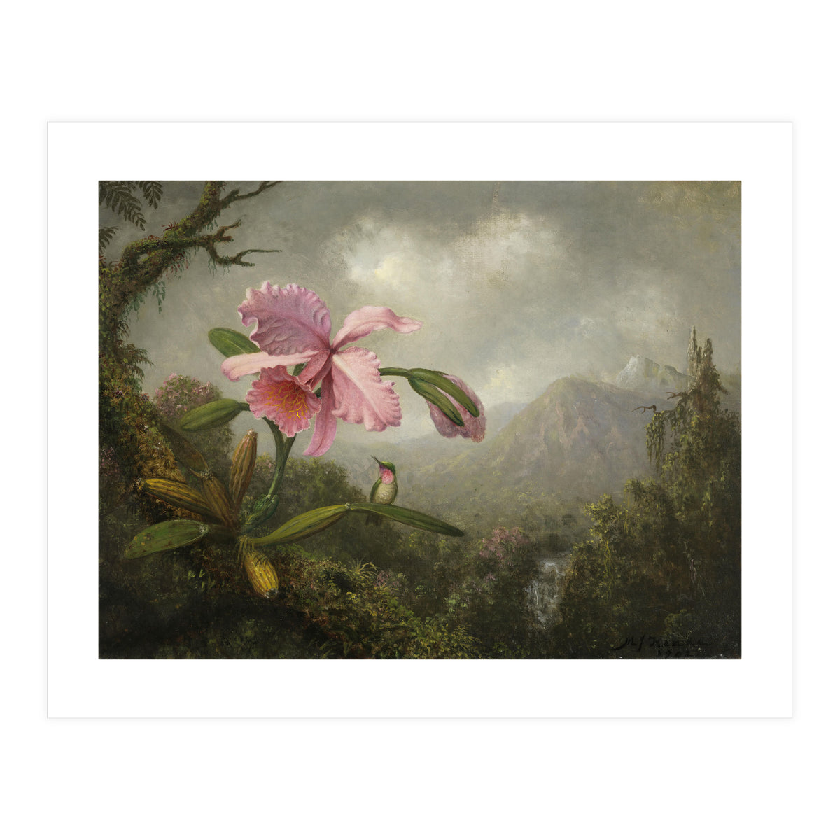 Martin Johnson Heade (Lumberville, 1819-St. Augustine, 1904). Orchid and Hummingbird near a Water... (Print Only)