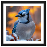 Blue Jay Bird In Winter Snowfall And Leaves thumbnail
