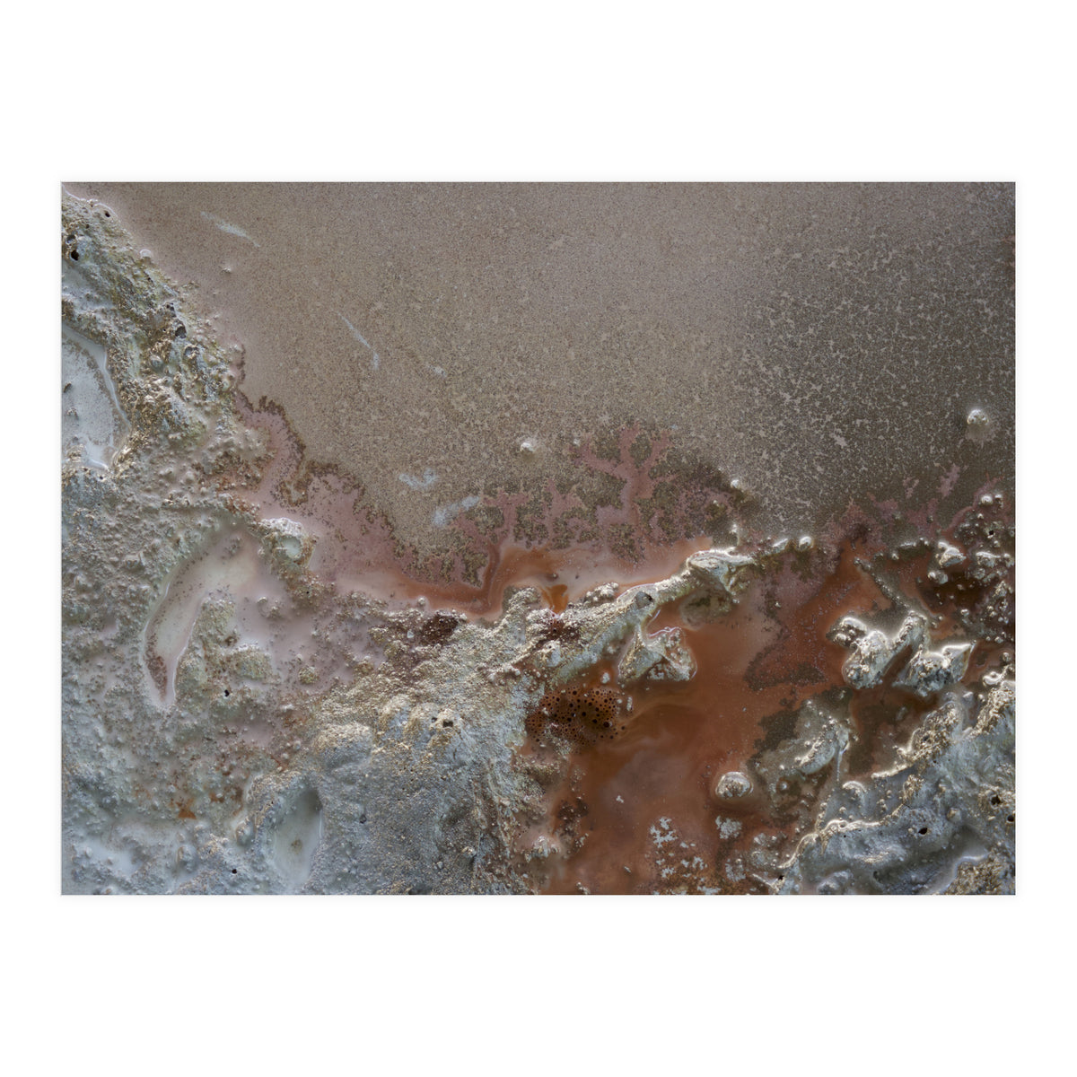 Resilience (Print Only)