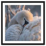 Close Up Of A Swan Covered In Frost And Dew thumbnail