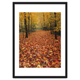 Ethereal Autumn Forest Path thumbnail