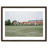 Red roof houses in the green field thumbnail