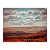 Dartmoor Forest (Print Only) thumbnail
