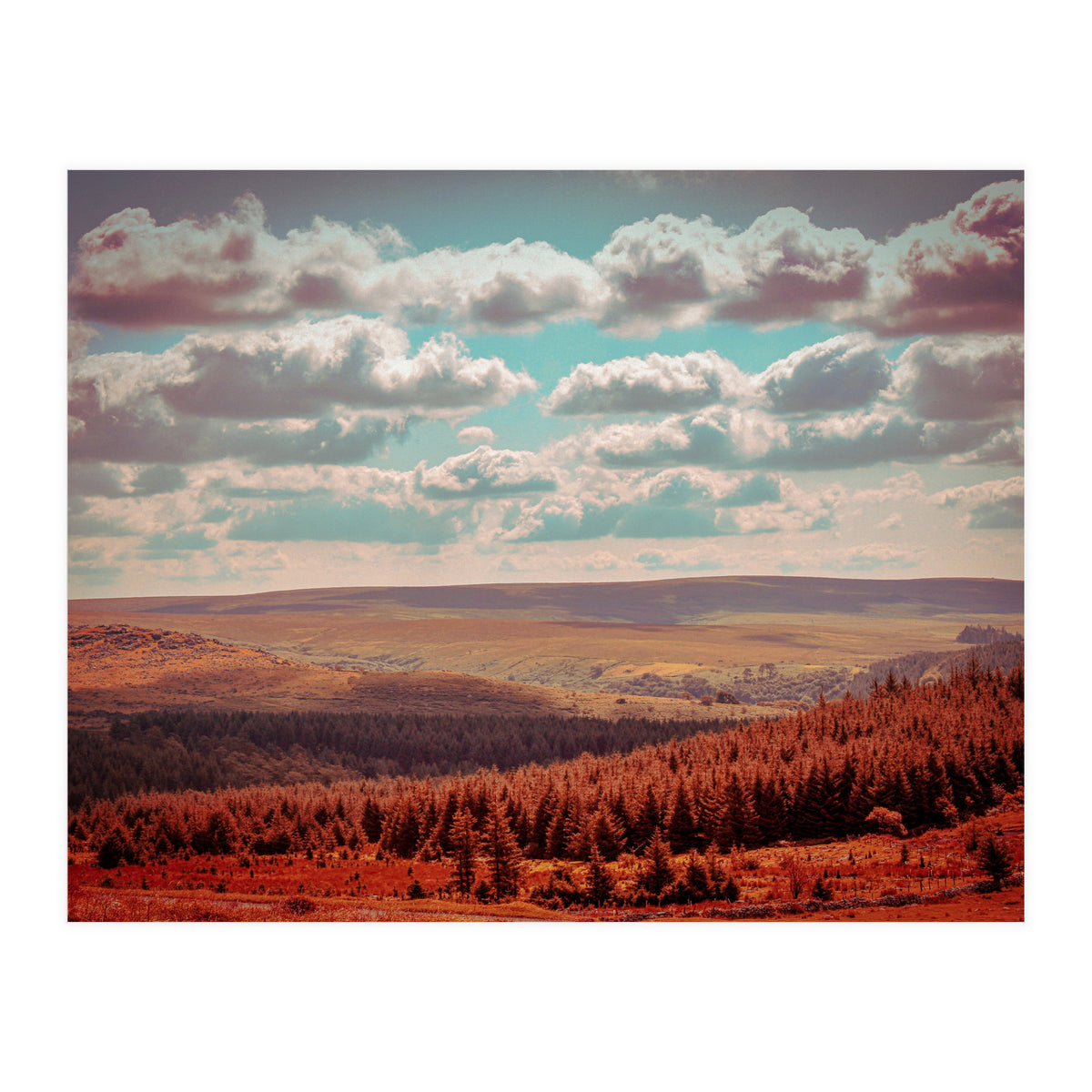 Dartmoor Forest (Print Only)