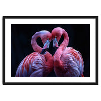 Two Pink Flamingos Forming A Heart Shape
